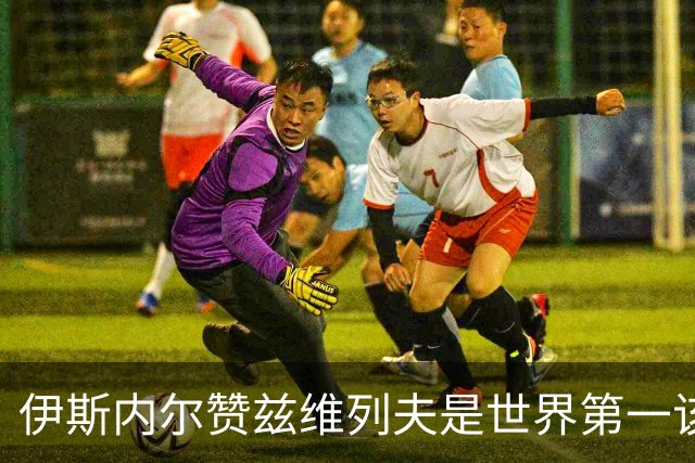 伊斯内尔赞兹维列夫是世界第一该有的样子，世界最好接发球员之一