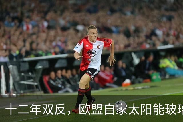 十二年双反，欧盟自家太阳能玻璃产业归零，中国剩3%，印度东南亚端走了盘子