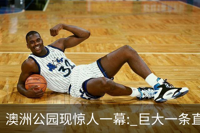 澳洲公园现惊人一幕: 巨大一条直接背走, 视频全网疯传! 官方发声