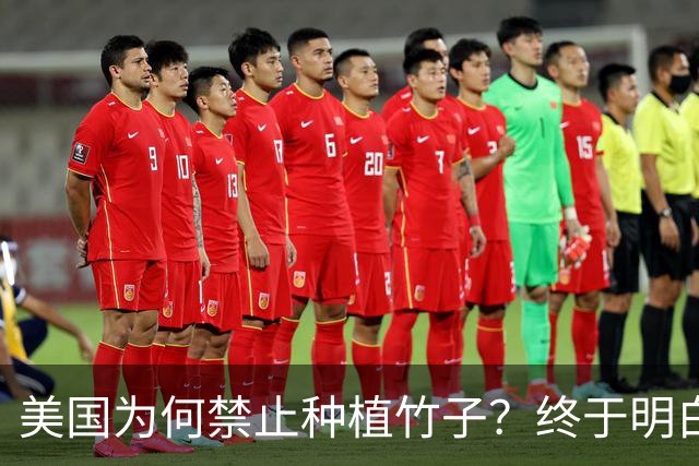 美国为何禁止种植竹子？终于明白，原来竹子比我们想象的更可怕