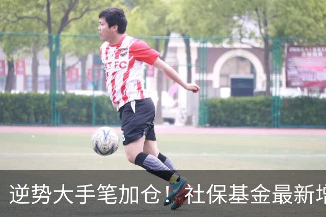 逆势大手笔加仓！社保基金最新增持名单曝光，重点加仓这些板块