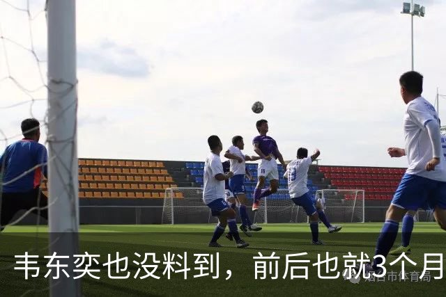 韦东奕也没料到，前后也就3个月，王虹竟再向学术界亮出“王牌”
